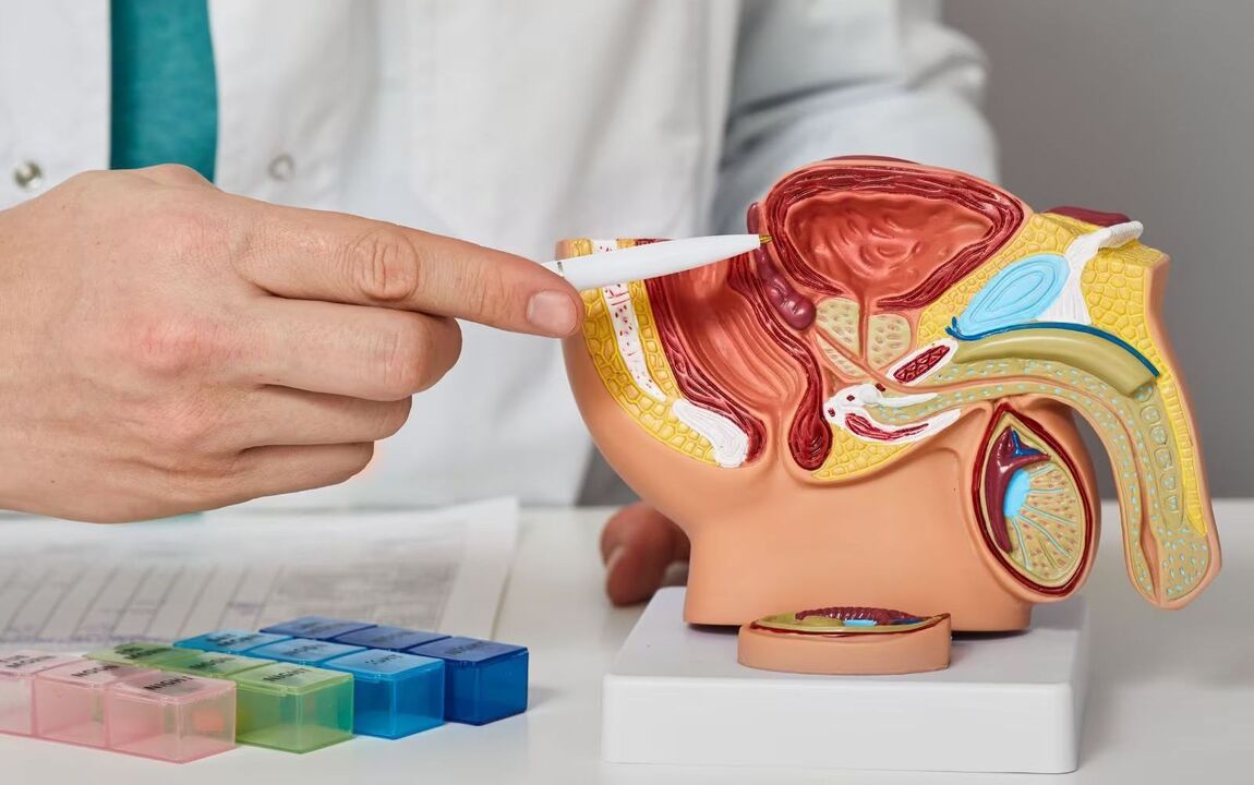 localization of the prostate